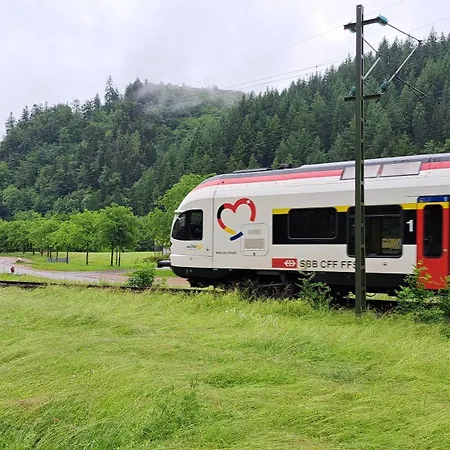 2 Mergel In Black Forest Διαμέρισμα *